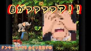 〈SFC〉スーパードンキーコング３　クレマトアとう　クリア〈ドン３　スーファミ　DONKY KONG〉