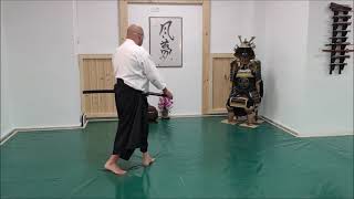 Ogawa Ryu - 居 合 術 Iaijutsu / 切り下ろし - Kirioroshi - Shidoshi Jordan Augusto - During Class