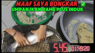 UMPAN SETTINGAN RESEP IWAN GONDRONG✅IKAN SAKIT IKAN BARU IKAN LAMA|| IKAN BABON IKAN RAME