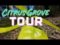 Part 2 - Tough Citrus Grove Tour N.C. 💪🍊 Spring 24’ Update - What Survived The Winter ❄️