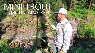 Mini Mountain Trout // 2 Weight Echo River Glass Rod Review