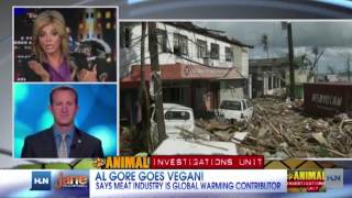 Jane Velez-Mitchell speaks about ex vice-president Al Gore going VEGAN!