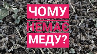 ✅Чому немає меду?✅Держпродспоживслужба під підозрою!