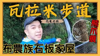 花東之旅EP4｜ 八通關東段瓦拉米步道，有熊森林意外發現熊爪痕 !!  布農文化家屋裡有室內葬｜4K畫質