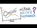 Can miRNAs be used as aging biomarkers?