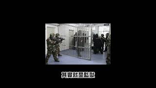 新疆警察檔案曝光 洪秀柱:平靜的生活?? #shorts