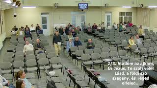 Szerda 2024.10.30. Borzási Pál