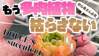 【多肉屋さん】＃ １２ 多肉植物を枯らさずに育てる！