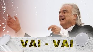 SEM NARRAÇÃO - VAI VAI 2011