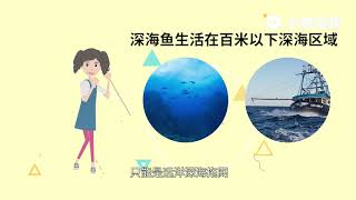 深海鱼有哪些