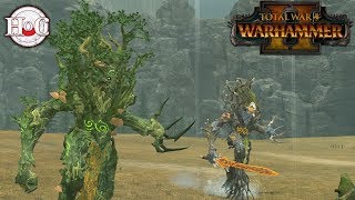 Trees of Wrath - Total War Warhammer 2 - Online Battle 122