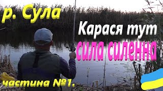 #Сула  # Карася невстигаю витягати #РибачуЯкУмію