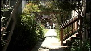 Spike In Santa Cruz Homeless Population Shocks Researchers