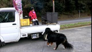 鹿児島の焼き芋屋さん