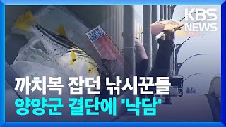 낙산대교에서 까치복 잡던 낚시꾼들…양양군 결단에 '낙담' / KBS  2023.09.08.