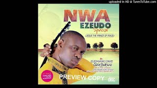 Prof Chikobi - Nwa Eze Udo (Nwa Ezeudo Special)