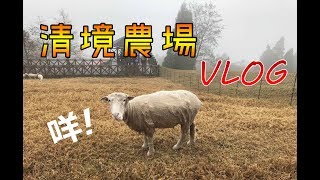 【VLOG】來去鄉下住一晚#1 超可愛綿羊咩咩叫~清境農場綿羊秀、馬術秀~♪［兔王的不肥宅生活］