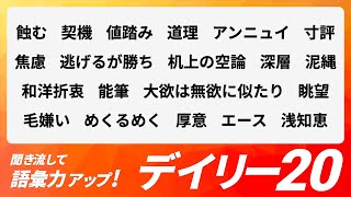 【デイリー語彙力 vol.029】聞き流して語彙力アップ！【日本語・カタカナ語】