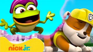 دوريات المخلاب | كلاب باو باترول تحلم أحلاماً غريبة! #3 مع روبل | 10 دقائق | Nick Jr. Arabia