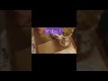 サロンの、ぶー長　🐱ぶーちゃんが、ご飯！と言っております。。。 #cat  #猫  #ねこ動画