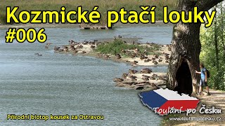 Kozmické ptačí louky - Přírodní biotop kousek za Ostravou (006)