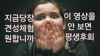 이것이 깨달음이고 견성이다ㅣ50분만에 견성한 도반의 실제 대화 영상