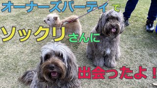 2020/11/15 I participated in the last owner's party of Australian Labradoodle!