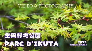 【生田緑地公園】【映像だけ】Parc d'Ikuta Ryokuchi en ce début de printemps.　#r6markii