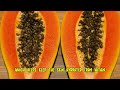 how papaya can help brighten your skin a natural glow boosting superfruit