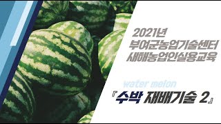 2021년 새해농업실용교육(수박-2)