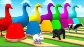 5 duck Paint Animals Gorilla cow lion elephant bear cat fountain crossing game