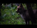 Documentário: Sintra  - O Monte da Lua HD