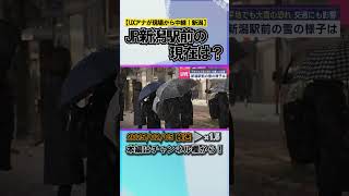 【中継｜JR新潟駅前】平地でも大雪の恐れ 雪の様子は？ #news #short  #ux新潟テレビ21 #新潟