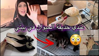 شريت صباط غزال وبتمن ايصدمكم وأخيرا فتحت حديقة الحيونات فداري 😍خبز سوري ناجح وكيتنفخ فالمقلة