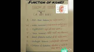 kidney function (a wet bed)English to hindi#physiology