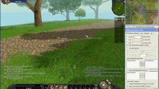 Sroking for silkroad online -Auto walk,Mini map