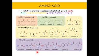 PUTRAMOOC || Introduction to Food Science || Topic 3: Protein and enzyme in food (Part 1)