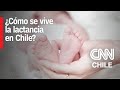 Lactancia materna: ¿Qué derechos tienen en Chile las madres que amamantan?