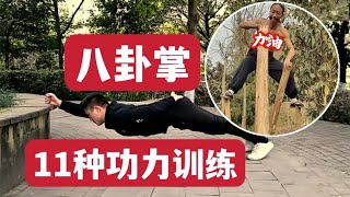 真实记录：八卦掌11种功力训练 Real record: Bagua Palm 11 Kung Fu training