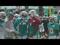 Dolphins hold joint practice with Falcons