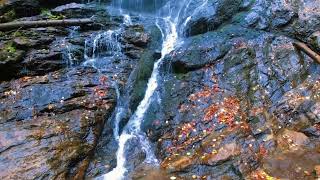 „Scoruș” Waterfall Vâlcea County