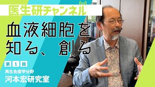 File1：血液細胞を知る、創る！再生免疫学分野【河本宏研究室】