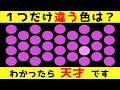 【ゆっくり解説】全問正解で天才！98%は間違える視覚能力テスト