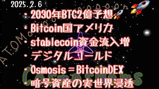 【Cosmos】2030年BTC2億超え⁉️機関投資家が蓄財中‼️（2025.2.6）しゅちゅわんの暗号資産情報