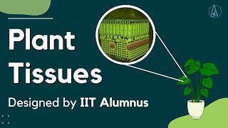 Plant Tissues [Explained and Designed by IIT Alumnus]