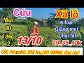 🍀13/10☎️0334061436🍀 mai vàng giá rẻ,xã 6 loại giống mai chơi Tết,20k mua 10 tặng 2