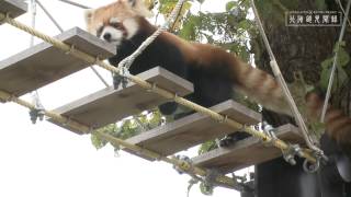 札幌市円山動物園 Sapporo Maruyama Zoo