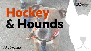 Hockey \u0026 Hounds: Meet Tiberius