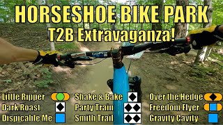 Horseshoe Road Trip | NINE T2B Trail Runs!