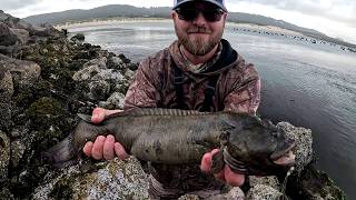 New PB Monkeyface Eel! I Lost A Giant!!!